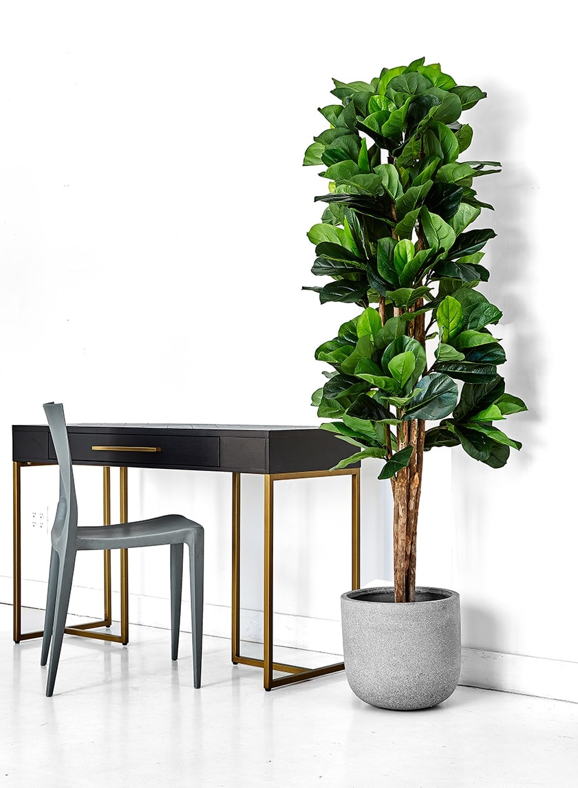 Shop 6ft Artificial Fiddle Leaf Fig Tree Faux Fiddle Trees
