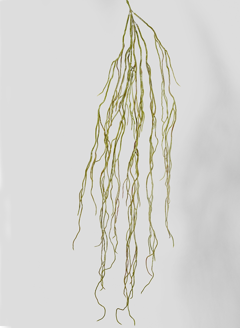 39in Green Aerial Root