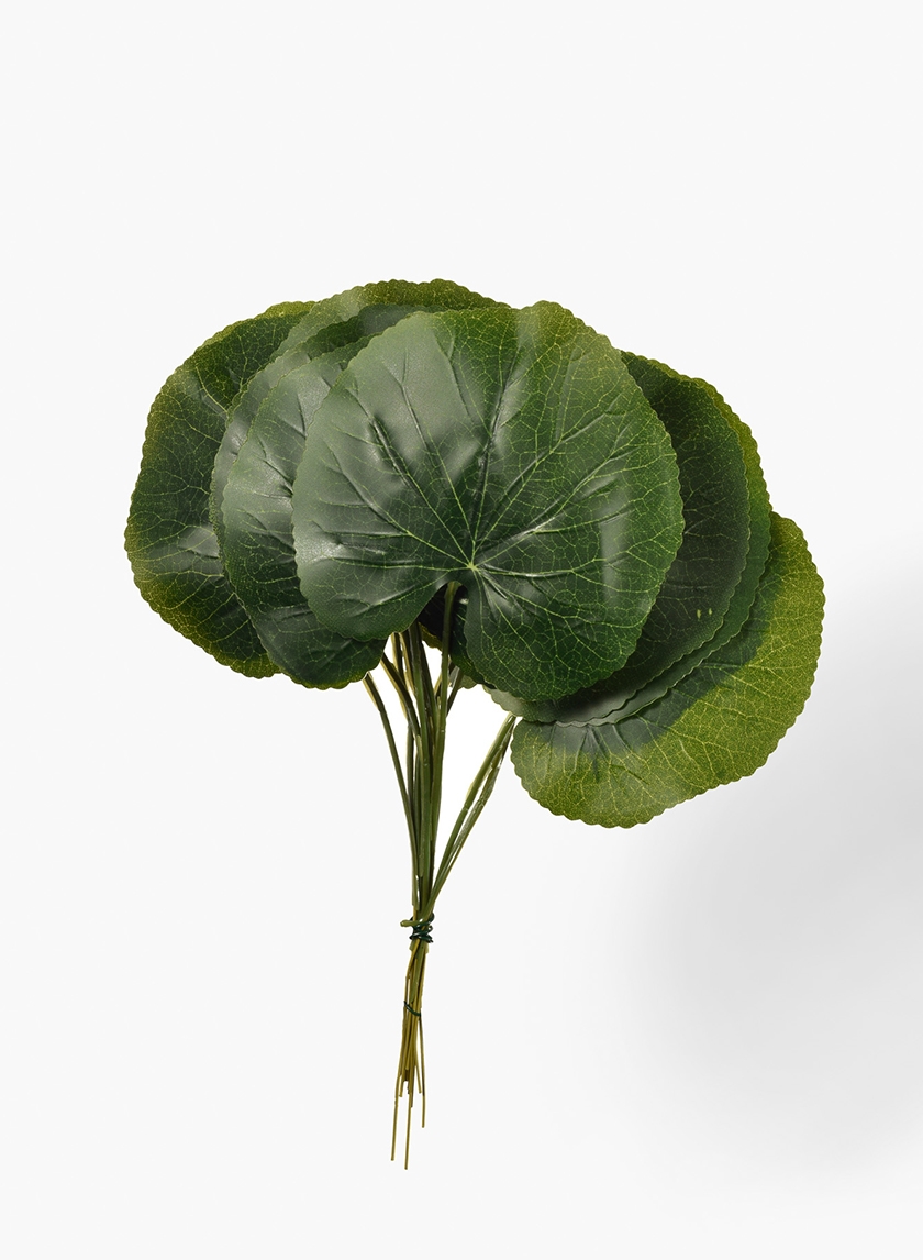 Green Leaf,, Set of 12
