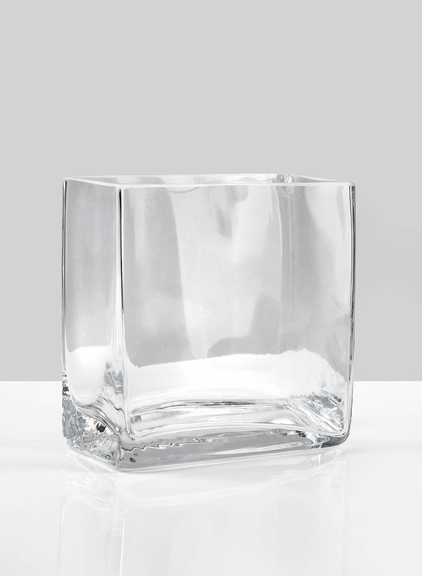 4 ¾in Rectangle Glass Vase