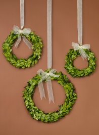 6, 7 ½, and 10in Ribboned Boxwood Wreath Set