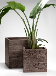 12- & 16-inch Kiri Wood Cube Planters