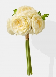 12in Cream Ranunculus Bouquet 24750