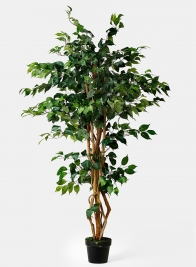 artificial potted ficus tree