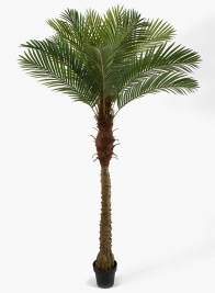 72in Areca Palm Tree