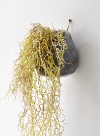 potted-artificial-moss-hanging-plant