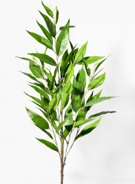 42in Long-Leaf, California Ecucalptus Spray