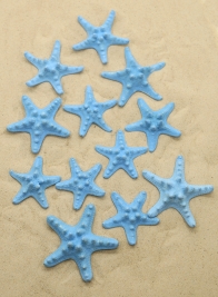 3-4IN BLUE KNOBBY STARFISH, SET OF 12