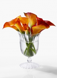5 1/4in Optical Glass Mini Urn Vase