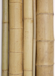 1-, 1 1/2-, and 2-inch Dia. Natural Bamboo Stakes