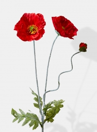 red poppies silk flowers for weddings and events