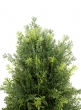 4ft Faux Cypress Topiary Tree