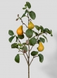 39in Ripe Pear Branch