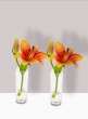 Burnt Orange Lily & Bud in Clear Shot Glass, Set of 2