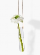 hanging test tube vase with ranunculus