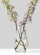 8in Gold Handle Glass Vase