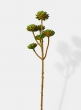 artificial succulent pick