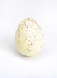 White Eggs, Set of 12