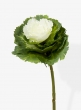white and green ornamental cabbage silk pick