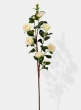 white camellia wedding flowers