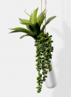burros tail and succulent artificial plant display